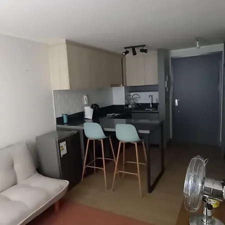 Apartamento Departamento Santa Lucialindo Depto Con Check Flexible